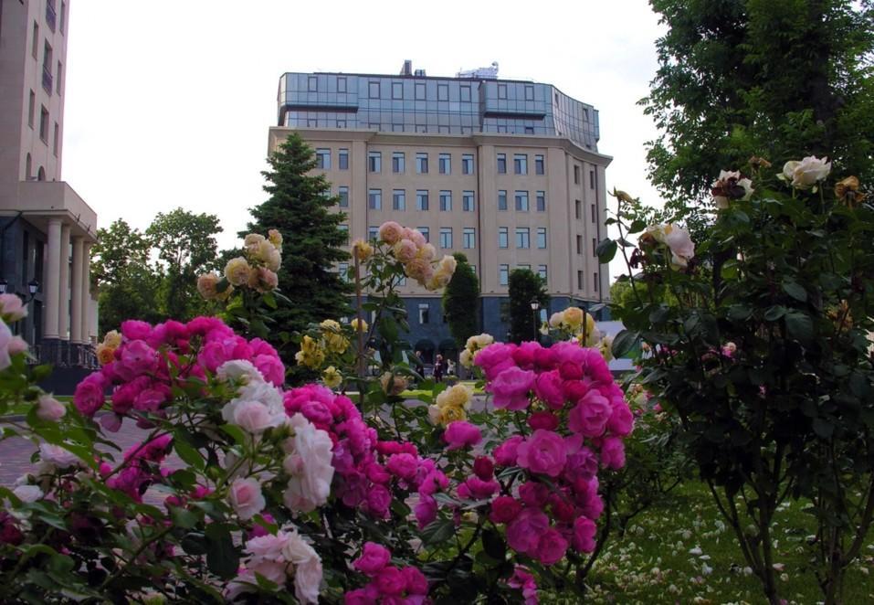 Аrcadia Nataly'S Pearls Appartments Oldenburg Bagian luar foto